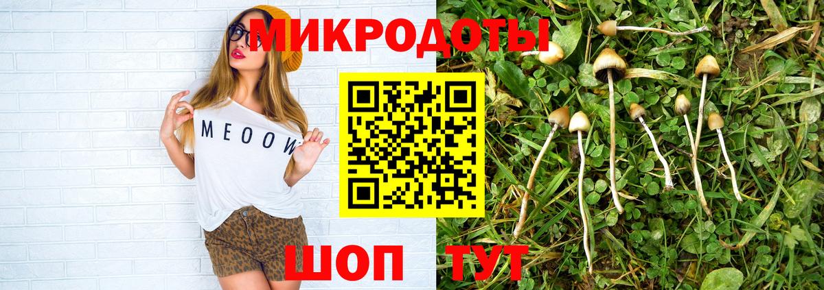Краснокаменск  Галлюциногенные грибы прущие грибы  Вход с VPN 